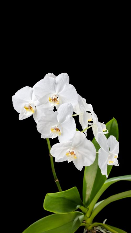 龙岩广源驾校,驾校学车,学车,泉州,晋江,小车培训,考驾照